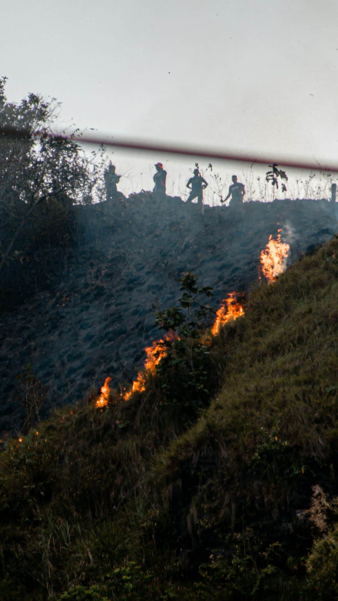 A bushfire on the side of a hill burning while firefighters monitor it's direction