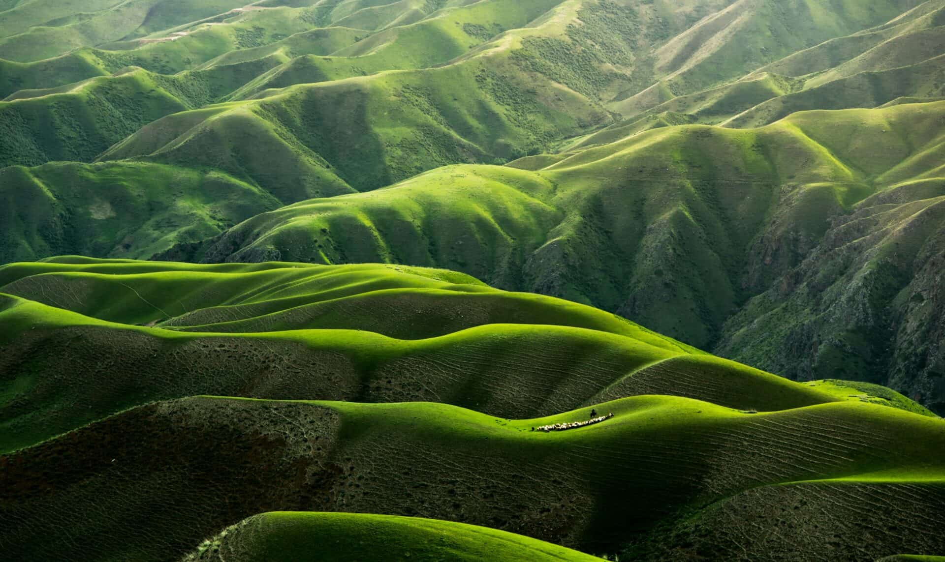 Rolling hills on a vast landscape with a healthy environment of green trees and grasses