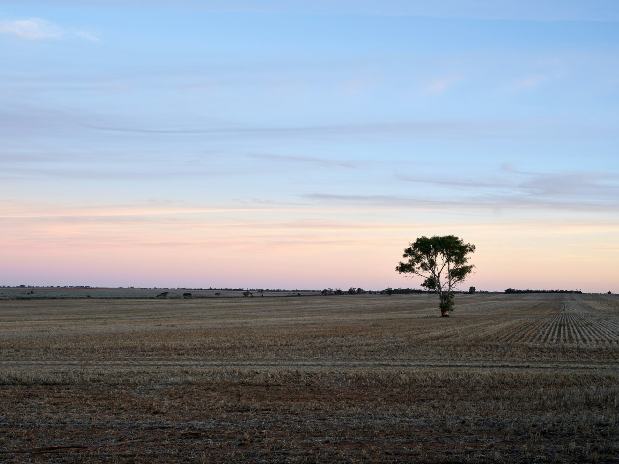 Management of land and land resources in Australia is critical to sustaining the natural balance of the environment and preventing man-made contaminants from creating negative impacts on the ecosystems.